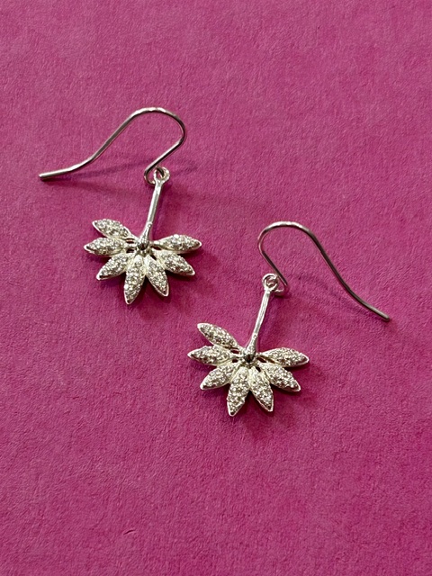 'Tara' Sterling Silver and Cubic Zirconia Drop Earrings (s) E011