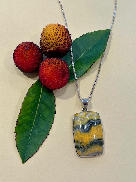 Sterling Silver and Bumblebee Jasper Pendant and Chain