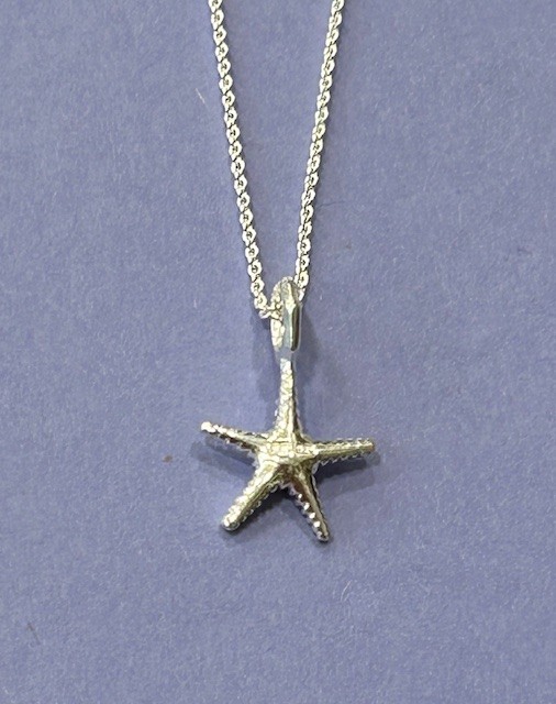 Sterling Silver Textured Starfish Pendant and Chain (s) PEN128