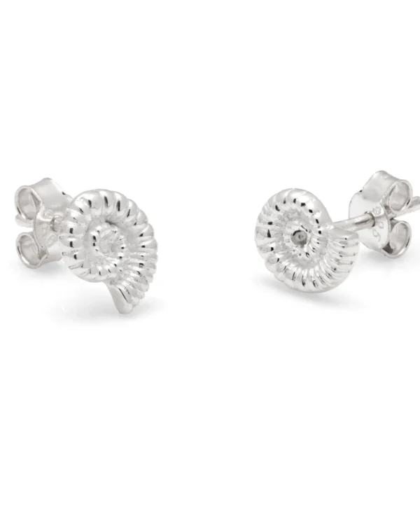 Ammonite Sterling Silver Stud Earrings (s)